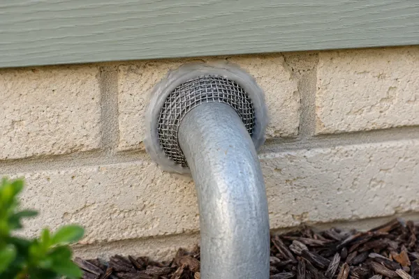 Rodent-exclusion mesh fitted around a utility pipe at a brick wall